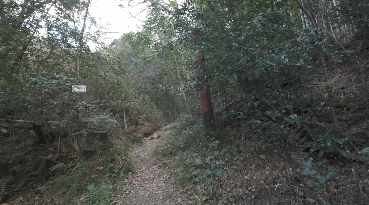 大岩神社の山道